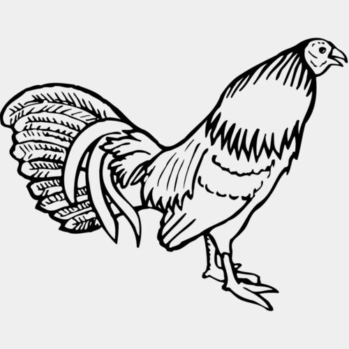 CHICK001 Thumbnail