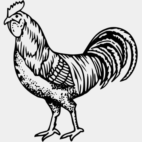 CHICK002 Thumbnail