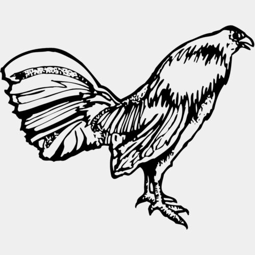 CHICK011 Thumbnail