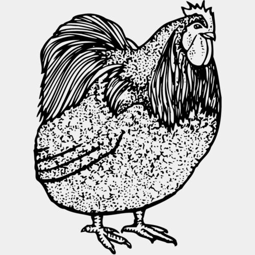 CHICK014 Thumbnail