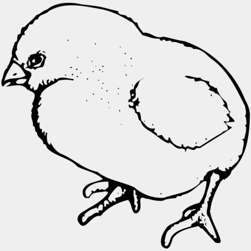 CHICK020 Thumbnail