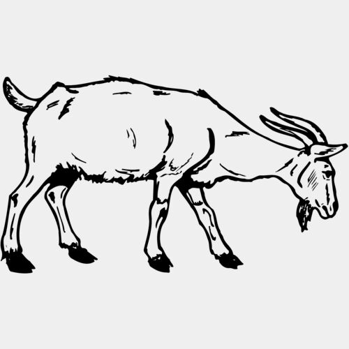 GOAT002 Thumbnail