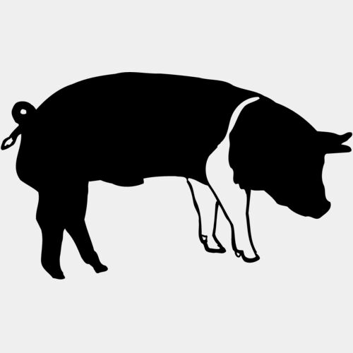 HOG0005 Thumbnail