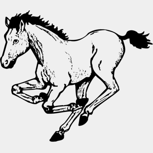HORSE043 Thumbnail