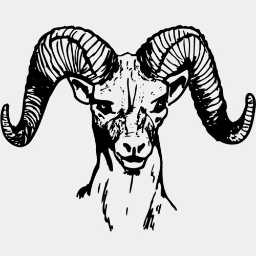 RAM002 Thumbnail