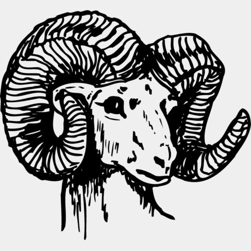 RAM003 Thumbnail