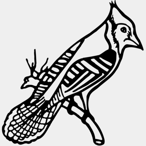 BIRD010 Thumbnail