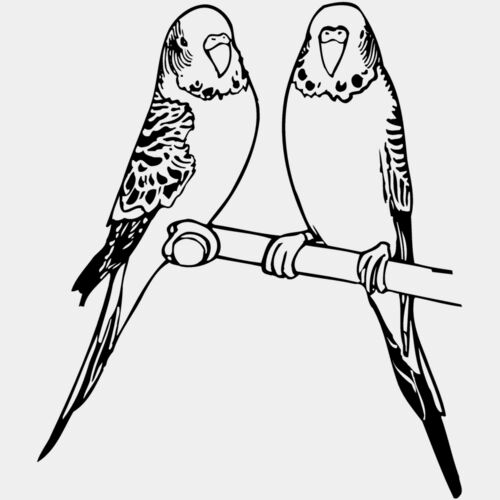 BIRD014 Thumbnail