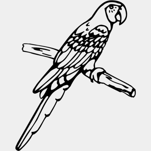 BIRD017 Thumbnail