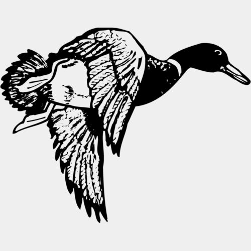 BIRD083 Thumbnail