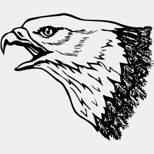 EAGLE013 Thumbnail