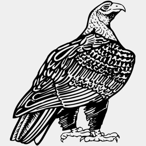 EAGLE018 Thumbnail