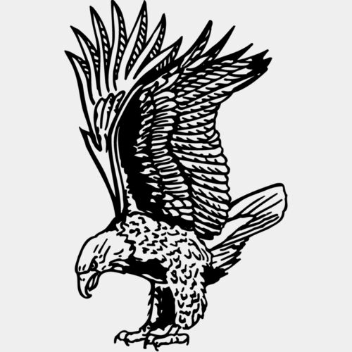 EAGLE020 Thumbnail