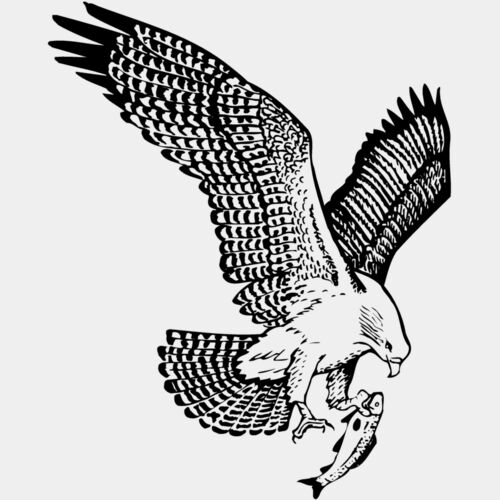 EAGLE022 Thumbnail
