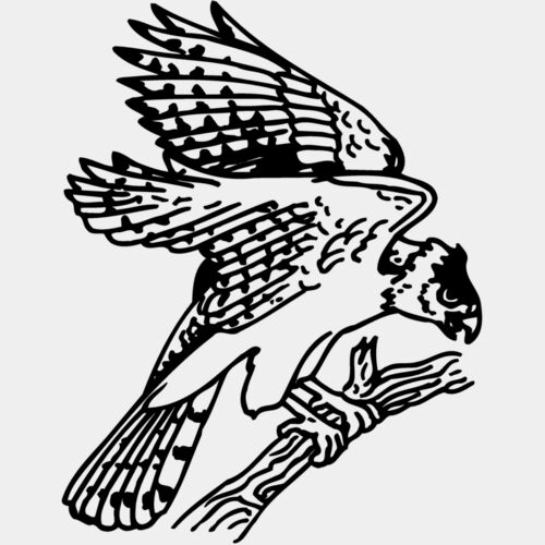 EAGLE027 Thumbnail