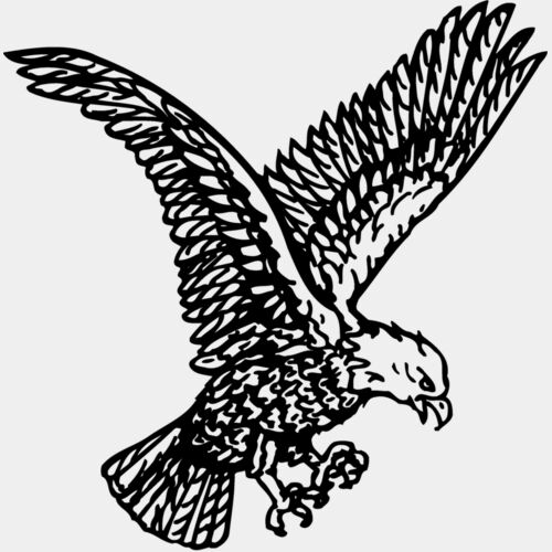 EAGLE037 Thumbnail