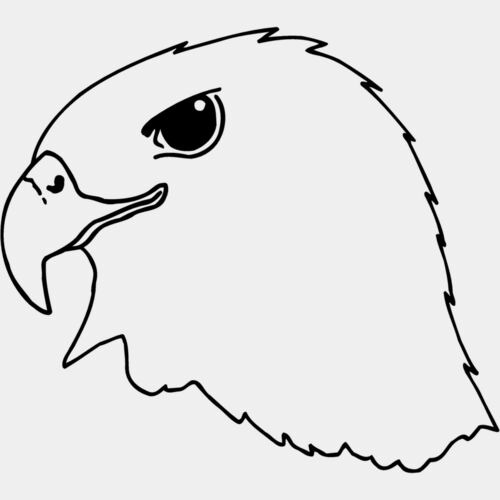 EAGLE44 Thumbnail