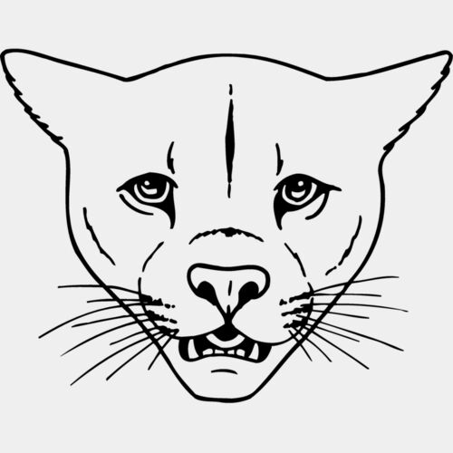 CAT16 Thumbnail