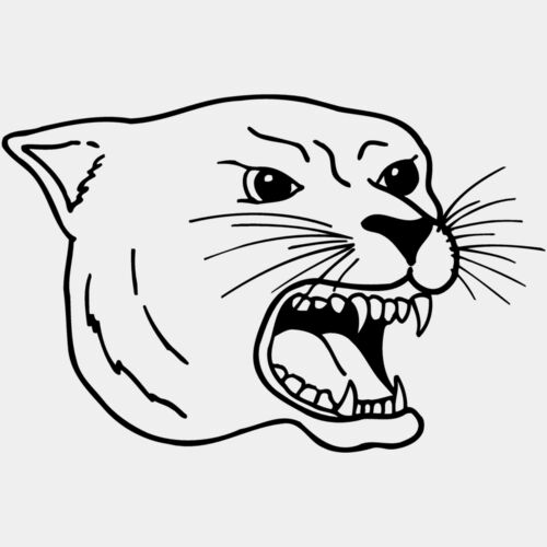 CAT17 Thumbnail