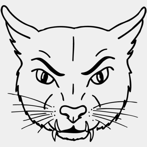 CAT19 Thumbnail
