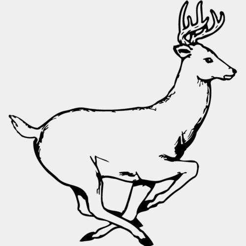 DEER003 Thumbnail
