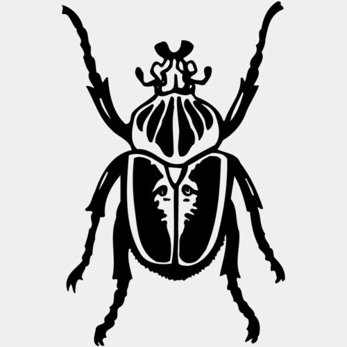 BEETLE04 Thumbnail
