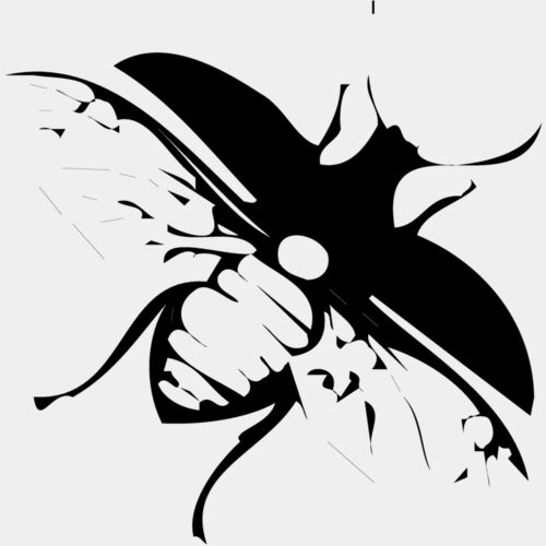 FLY03 Thumbnail