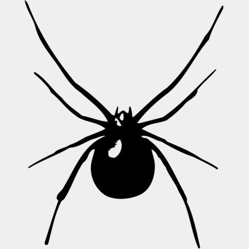 SPIDER03 Thumbnail