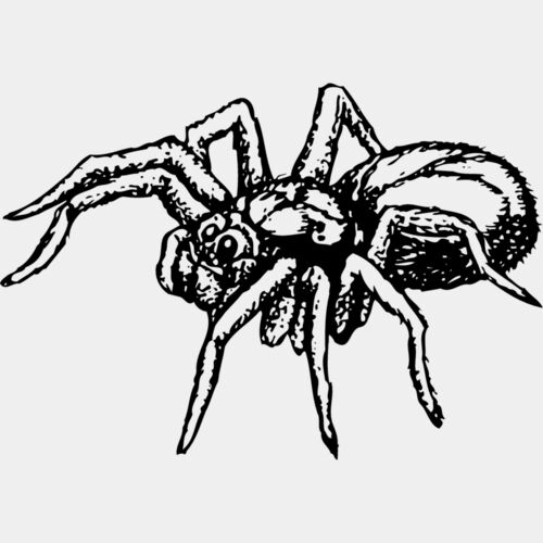SPIDER04 Thumbnail