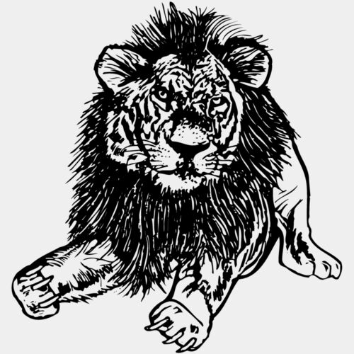 LION005 Thumbnail
