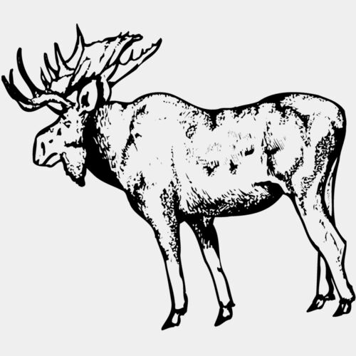 MOOSE002 Thumbnail
