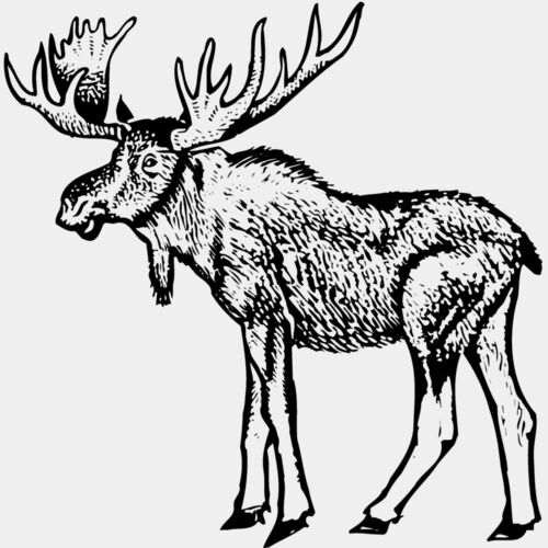 MOOSE005 Thumbnail