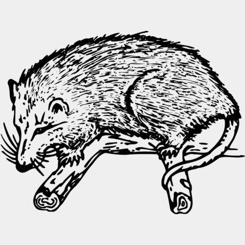 POSSUM01 Thumbnail