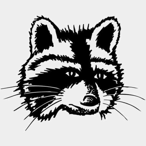 COON005 Thumbnail