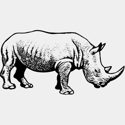 RHINO001 Thumbnail