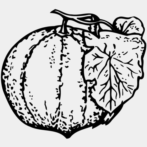 FRUIT007 Thumbnail