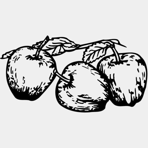 FRUIT018 Thumbnail