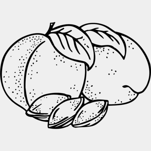 FRUIT025 Thumbnail