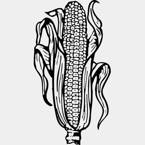 GRAIN001 Thumbnail
