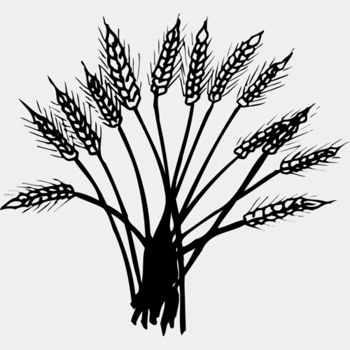 GRAIN015 Thumbnail