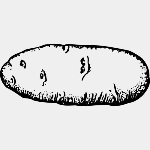 VEG006 Thumbnail