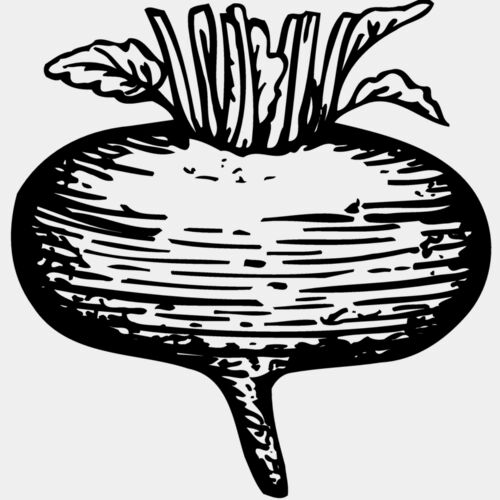 VEG018 Thumbnail