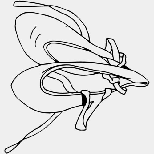 SHOE07 Thumbnail