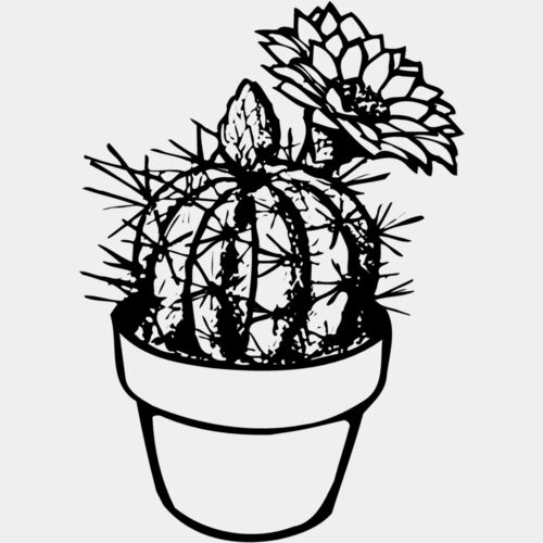 CACTUS01 Thumbnail