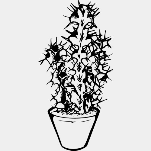 CACTUS04 Thumbnail