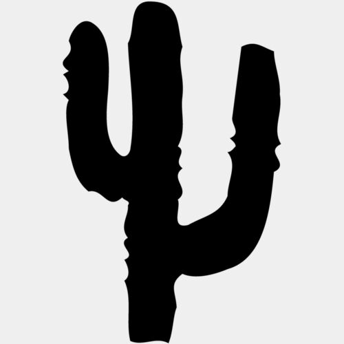 CACTUS16 Thumbnail