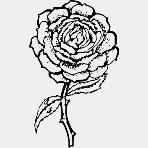 FLOWER05 Thumbnail