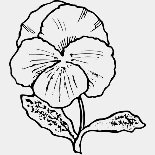 FLOWER07 Thumbnail