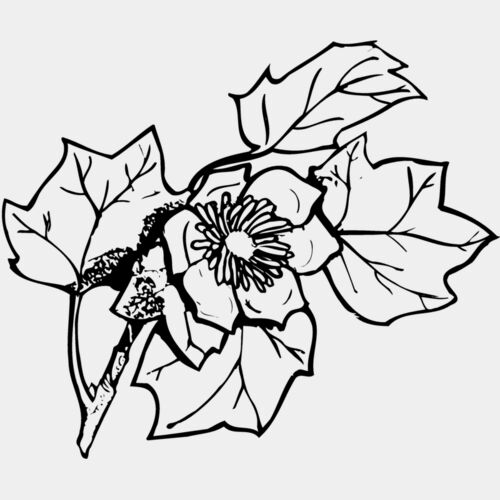 FLOWER09 Thumbnail