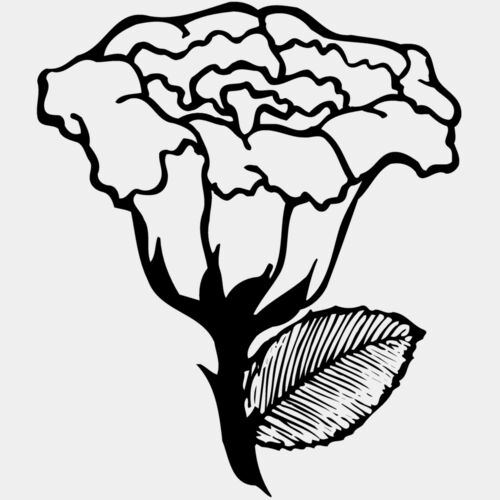 FLOWER10 Thumbnail